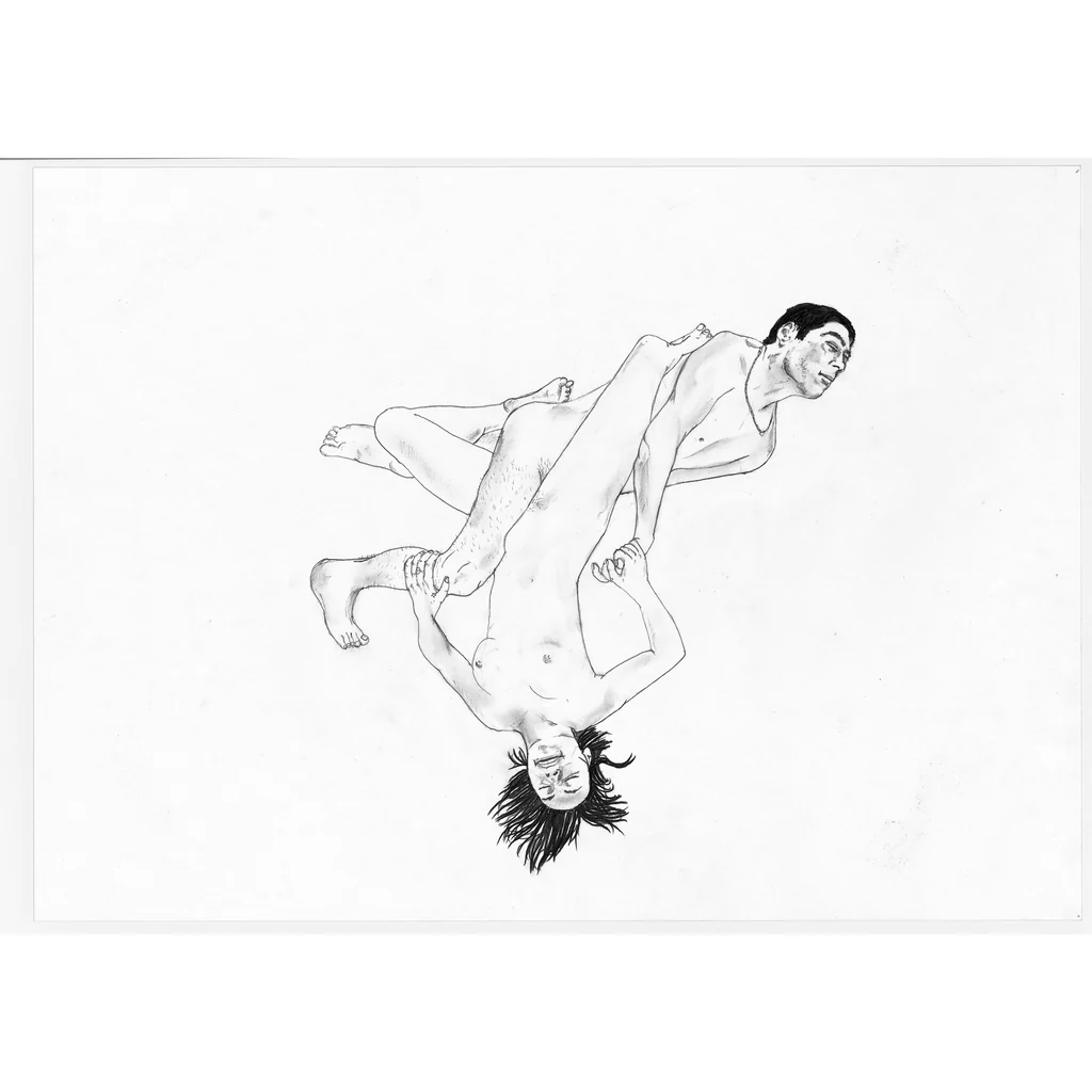 The Joy of Sex Portfolio, 2005
