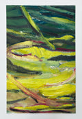 River Study (Summer)